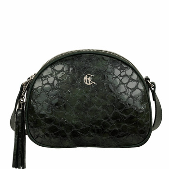 Zielona lakierowana torebka Canaletto – elegancja i funkcjonalność na co dzień TD810s261