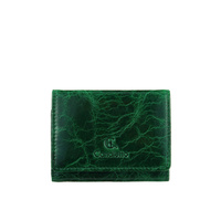 Mały portfel damski Canaletto ze skóry naturalnej licowej – elegancja i funkcjonalność PD2001s257